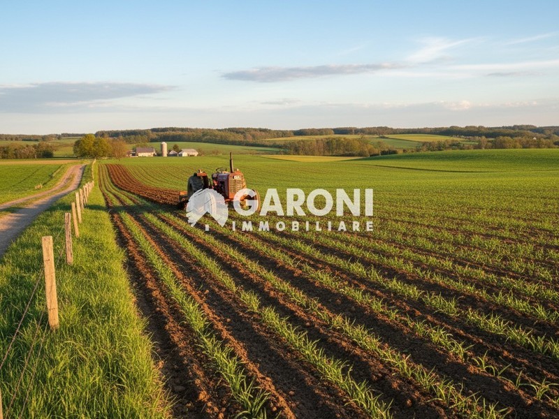 fotografie - terreno agricolo Lugo (RA)  
