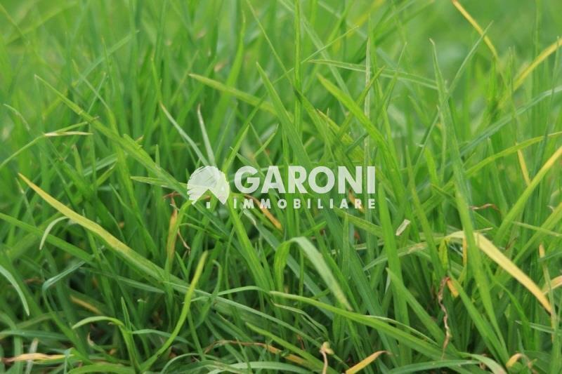 fotografie - terreno agricolo Faenza (RA) Campagna Monte 
