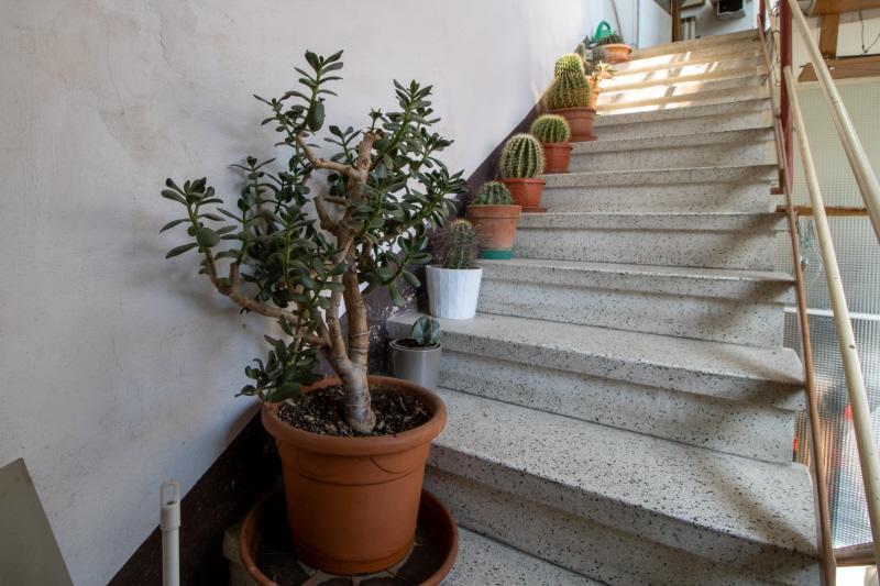 fotografie - Villa a schiera Faenza (RA) Centro Storico 