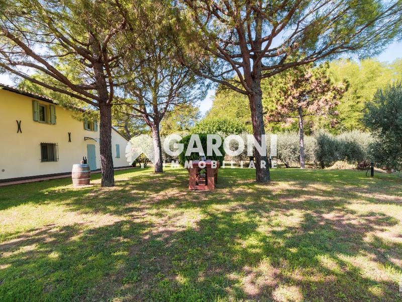 fotografie - Rustico / Casale Faenza (RA) Campagna Monte 