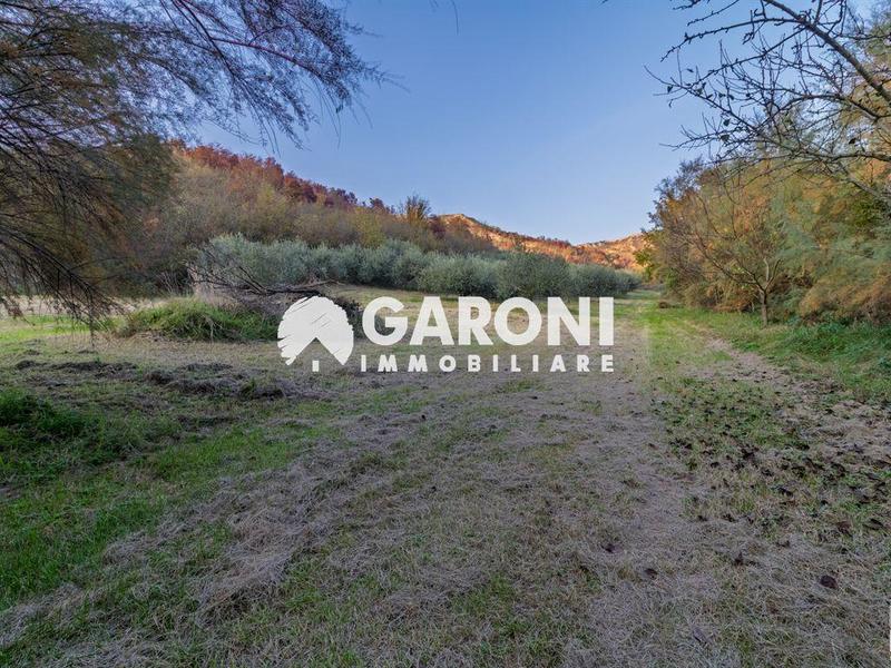 fotografie - Rustico / Casale Brisighella (RA)  