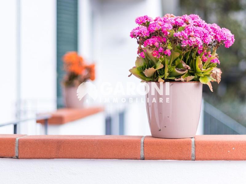 fotografie - Villa a schiera Faenza (RA) Periferia Monte 