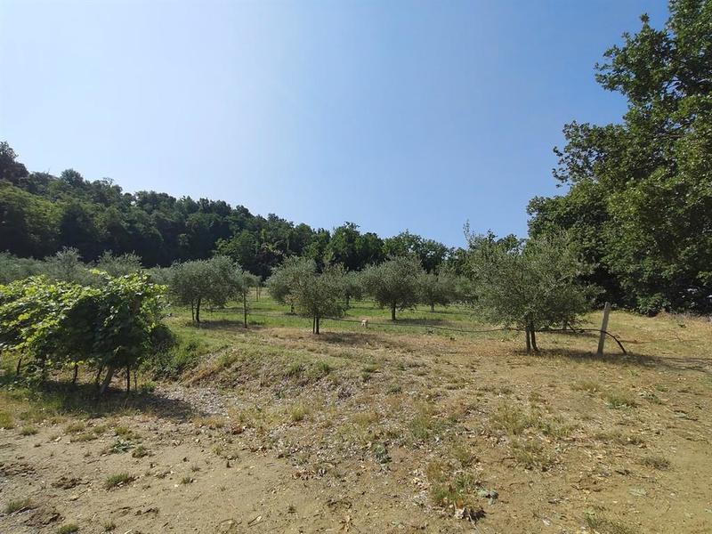 fotografie - terreno agricolo Faenza (RA) Campagna Monte 