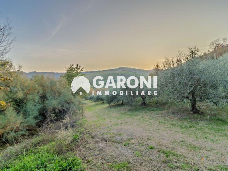 fotografie - Rustico / Casale Brisighella (RA)  