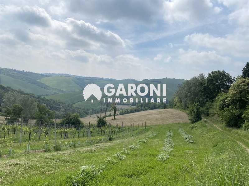 fotografie - terreno agricolo Faenza (RA) Campagna Monte 