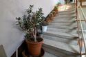 Villa a schiera Faenza (RA) Centro Storico 