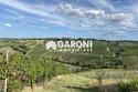 terreno agricolo Brisighella (RA)  