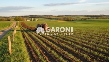terreno agricolo Lugo (RA) 