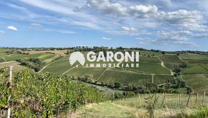 terreno agricolo Brisighella (RA) 