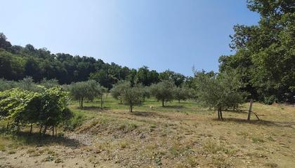 terreno agricolo Faenza (RA) Santa Lucia Delle Spianate