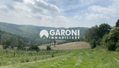 terreno agricolo Faenza (RA) Campagna Monte