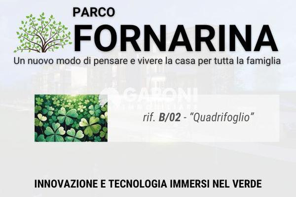 vendita appartamento