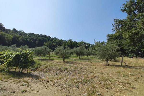 vendita terreno agricolo