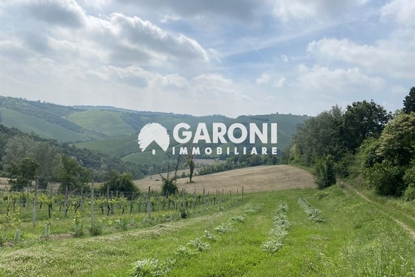 vendita terreno agricolo